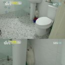 보스돼지 이미지