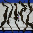 봉곡동142 이미지