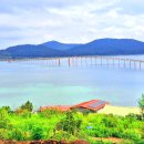 고흥 우도섬산행 레인보우교- 봉들산 전망대 ( 남구푸른 산악회) 이미지