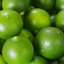 국립농산물품질관리원 제주지원 서귀포사무소 이미지