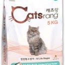 멍멍스타 - 미추홀구 경원대로833번길 57 | 멍멍스타