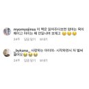 마이미플레르 이미지