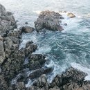 장승포뷰펜션 이미지