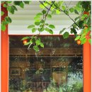 머루랑다래랑 이미지