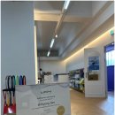 시드니스포츠 이미지