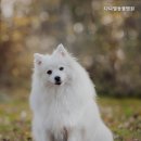 다니엘 동물병원 | 일산동물병원 다니엘동물병원 신뢰할 수 있는 동물병원