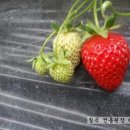 들길농장 이미지