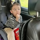 봉하마을 진영생태문화공원 이미지