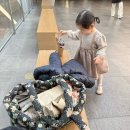 어울림 세탁소 | 수며들다. 수어플룸 페드라 사랑…🤎
