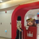 디자인모토 | 기내용캐리어 리드볼트 20인치 브레이크바퀴 히노모토 후기