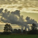 대기정책과 이미지