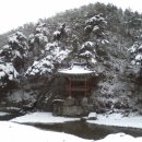 해피데이 이미지