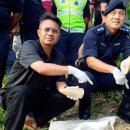 상아농장2 이미지