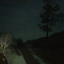 칠전농장 이미지