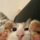 무튼