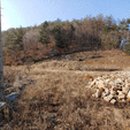 김삿갓면-36 이미지