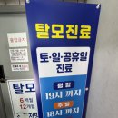 새서울약국 | 종로 위고비 성지 코코이비인후과, 새종로약국 후기 및 최근 위고비 가격