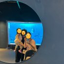 대전유성지역자활센터좋은꼬마김밥 | 대전 1박2일 여행코스 아기랑 내돈내산 후기 롯데시티호텔 성심당 아쿠아리움 음악분수