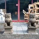 엠제이오퍼 이미지