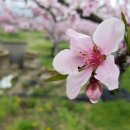 입석리농장 이미지