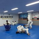 대구이종격투기 이미지