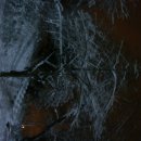 사곡1리 이미지