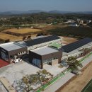 안계초등학교 이미지