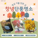 마을회관앞 | 창녕 단풍 명소 ㅣ 영산 만년교 &amp; 남산호국공원 &amp; 신당새마을회관 은행나무 여행 후기