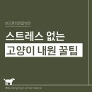 분당중앙동물병원 이미지