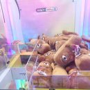 더 플레이(The play) 이미지