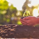 세곡 버스정류장 이미지