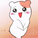 깍쟁이 네이버블로그