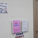 묵호항여객선터미널 | [울릉도 여행] 울릉도 자유여행 강릉항 묵호항 셔틀 울릉도 여객선 배 시간 가격