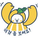 대구MBC태교음악회 이미지