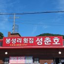 봉성리횟집성춘호