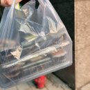 더완벽한김밥 마곡중앙점 이미지