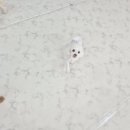 개스트룸 이미지