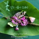 깔롱 네이버블로그