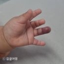 감귤약국 이미지