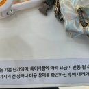 주주펫 살롱 이미지