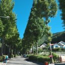 카페카사비앙카 이미지