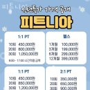 피트니아 이미지