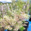 문관농장 이미지