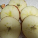 병규농장 이미지