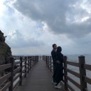 독스 윙스 이미지