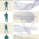 각각의 운동에서 사용되는 근육과 체형 이미지