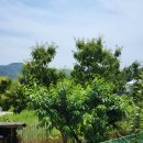 안성농장 이미지