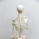 지에스메디텍 이미지