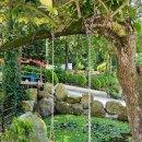 통영 편백숲길 관광농원 이미지