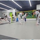 용인대국가대표태권도장 이미지